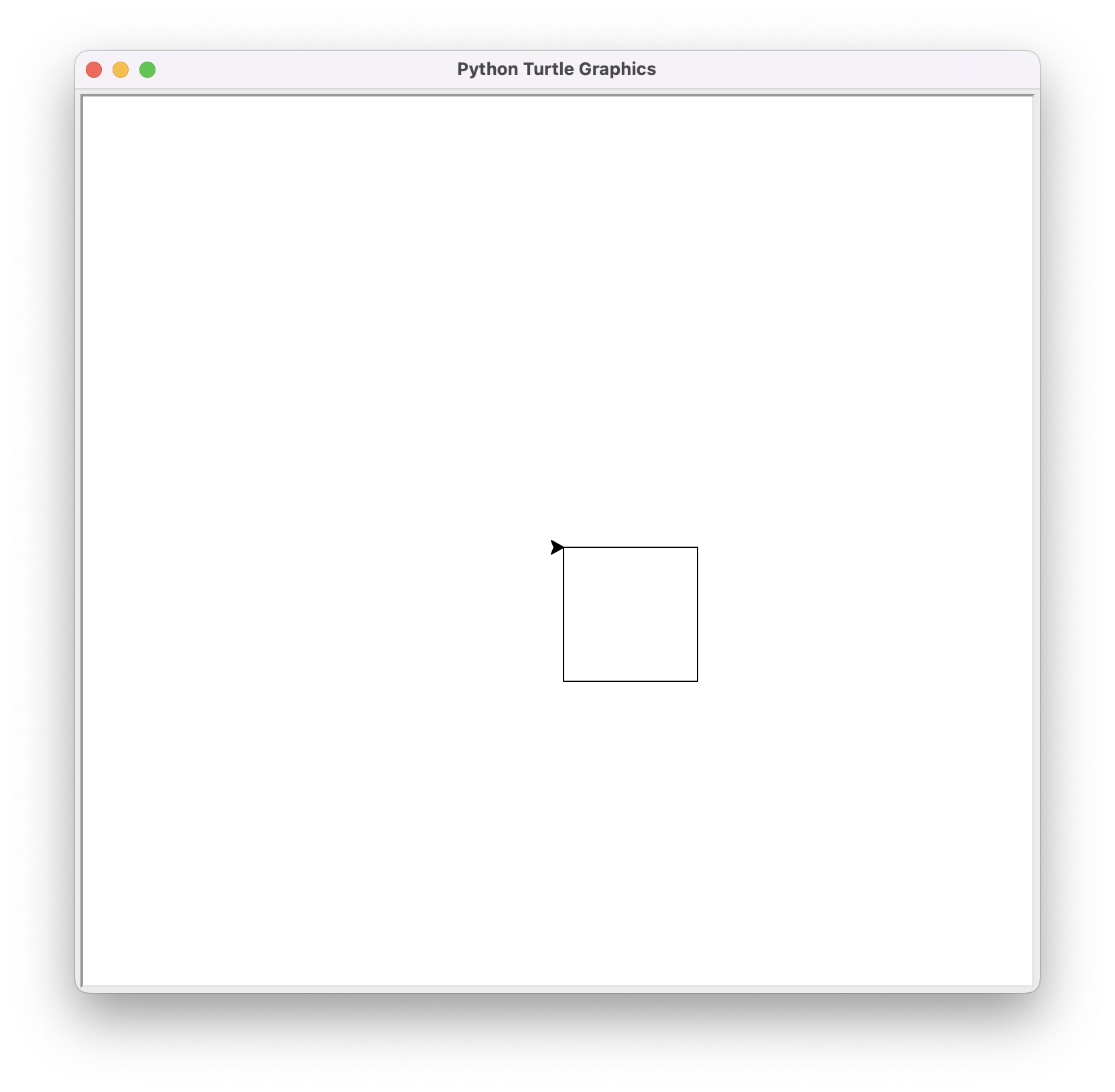 Square with the turtle